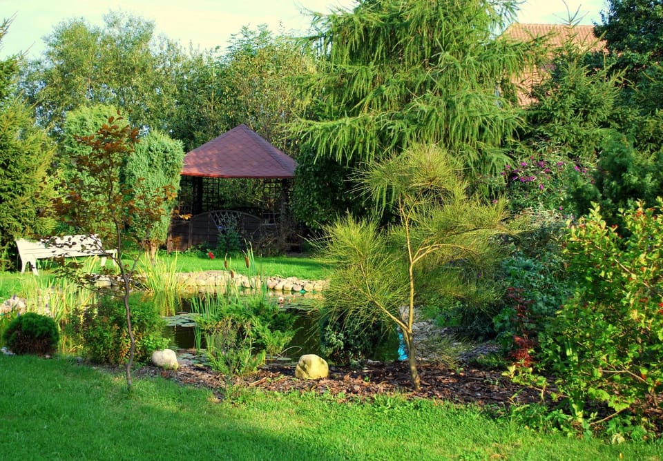 Spring, Day, Natural landscape, Garden, Other, Other, Other, Garden view