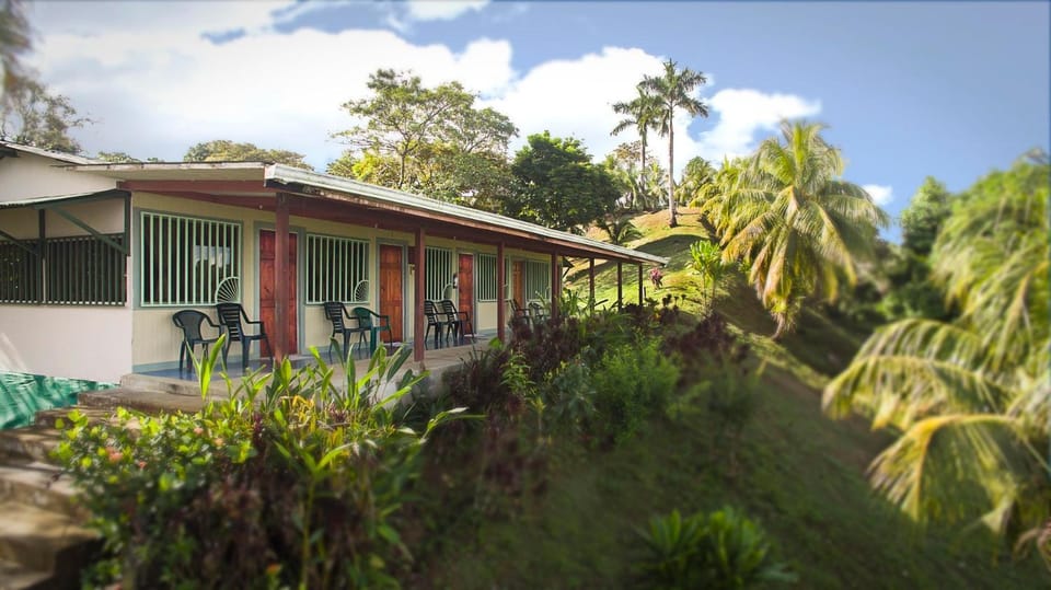 Garden view, Area and facilities