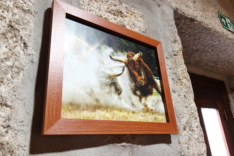 Casa Viade Bed and Breakfast in Vila Real District