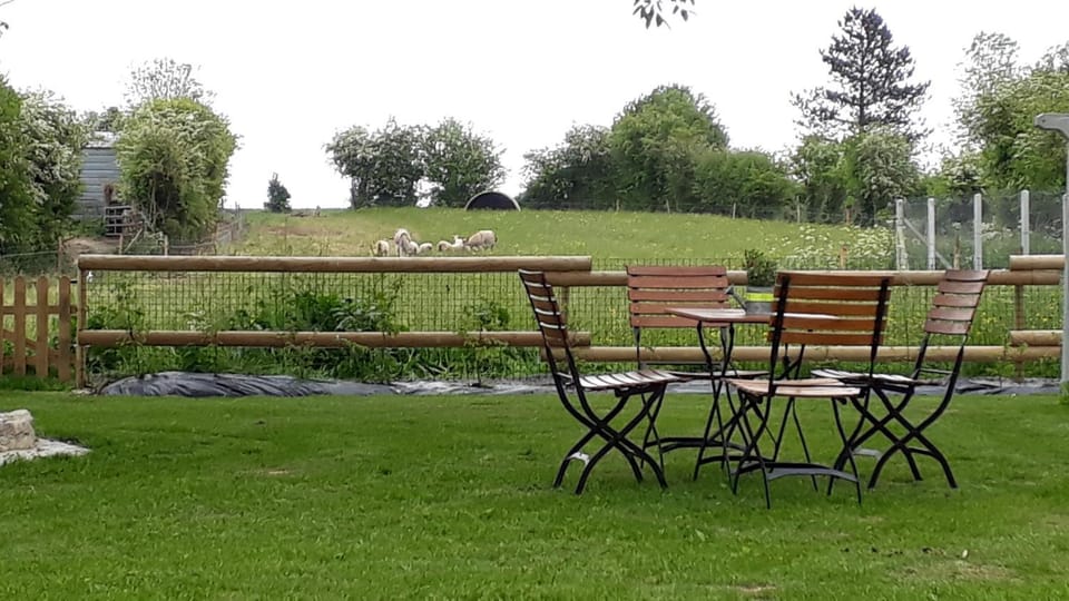Day, Natural landscape, Garden, Garden view