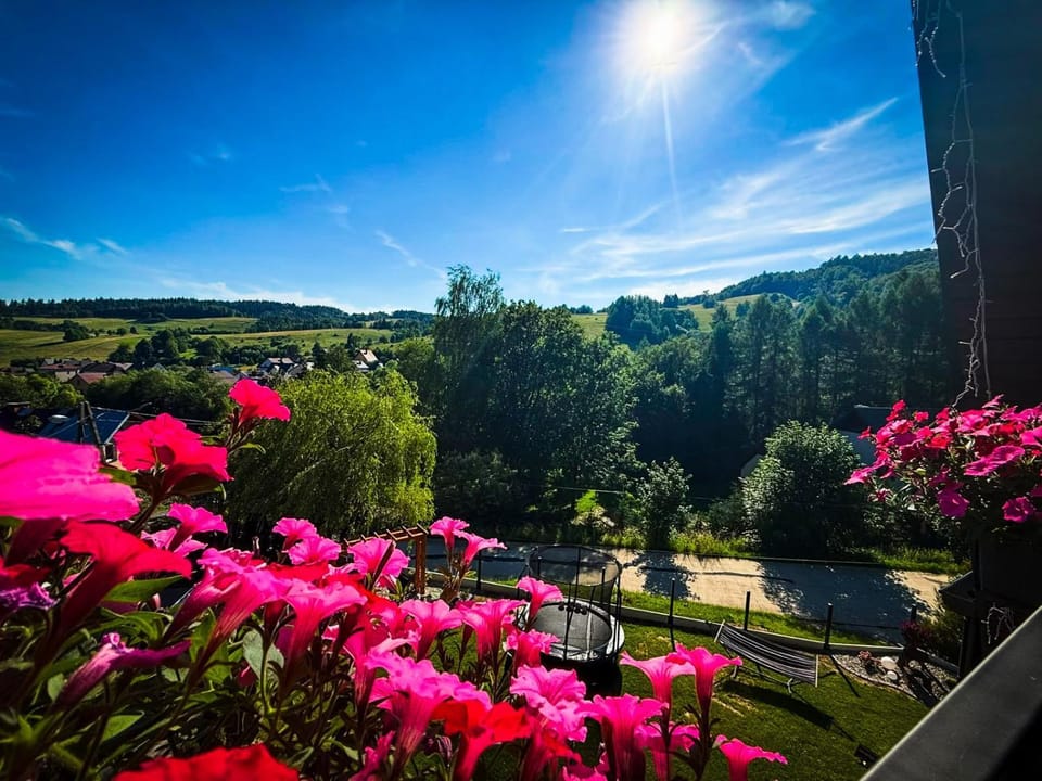 Spring, Day, Natural landscape, Garden, Garden, Garden view, Mountain view
