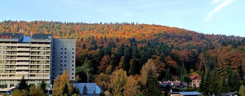 Studio Mountain View Apartment in Sinaia