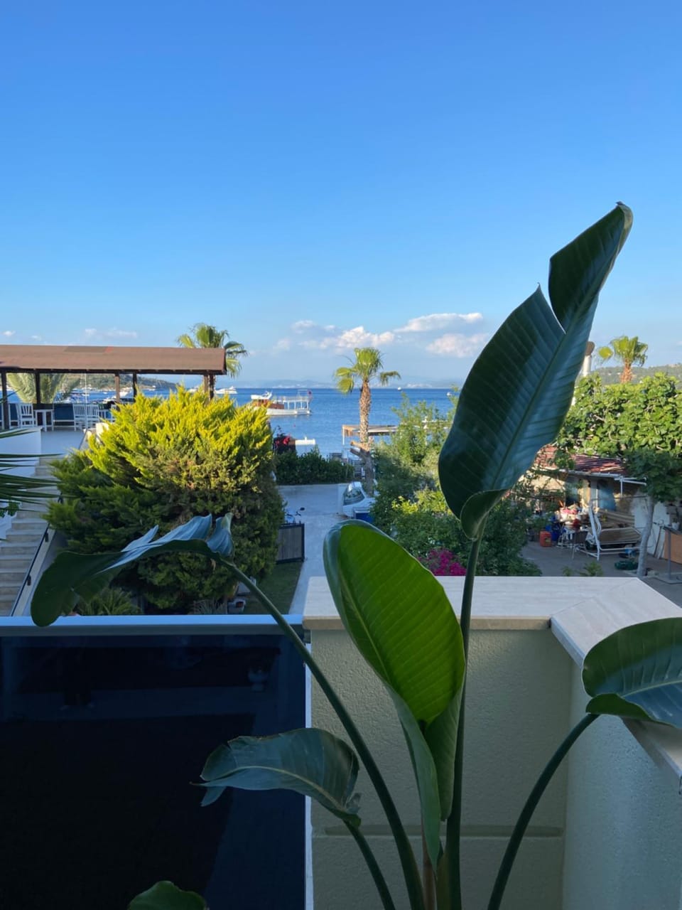 Sea view