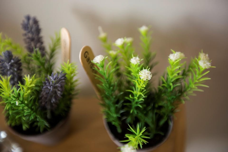 Casa da Lo House in Viana do Castelo District, Portugal