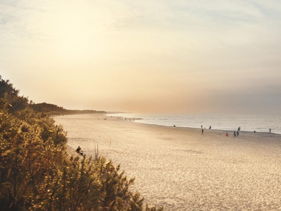 Nearby landmark, Restaurant/places to eat, Off site, Neighbourhood, Natural landscape, Beach, Pets, Supermarket/grocery shop