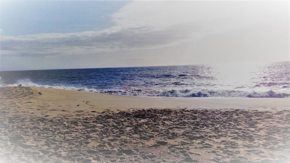 Natural landscape, Beach