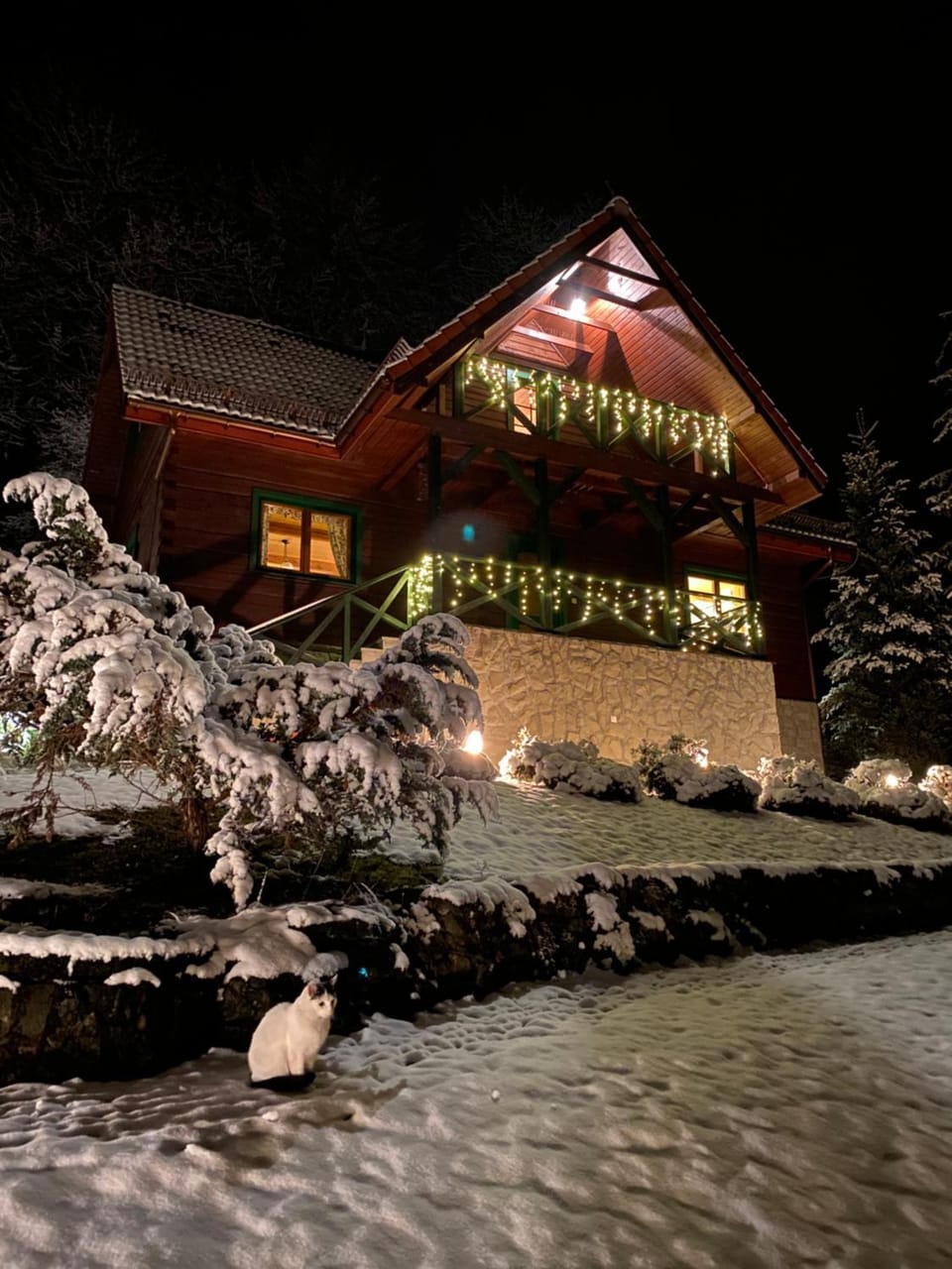 Property building, Winter, Garden, On site, Pets, Garden view