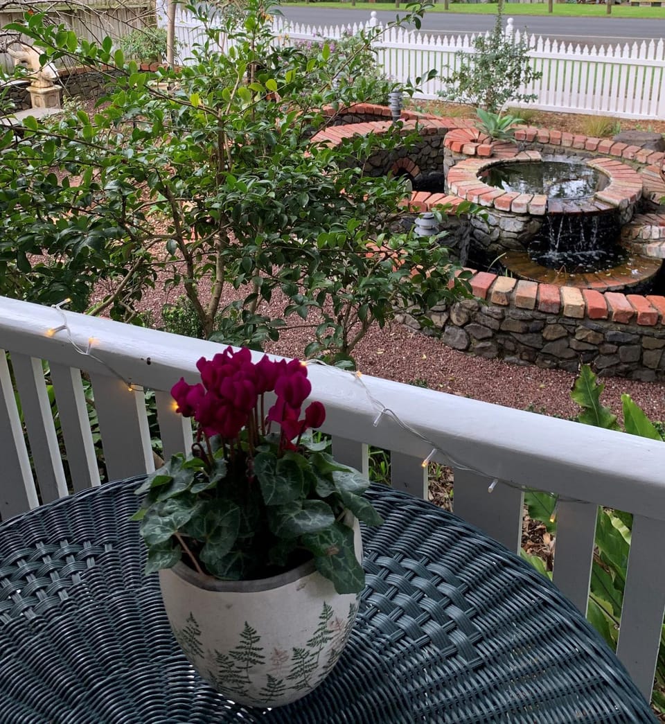 Garden view