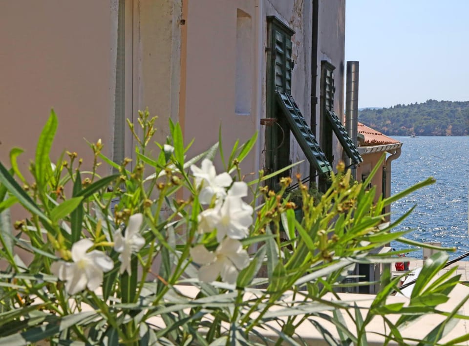 Day, Natural landscape, View (from property/room), Decorative detail, City view, Sea view