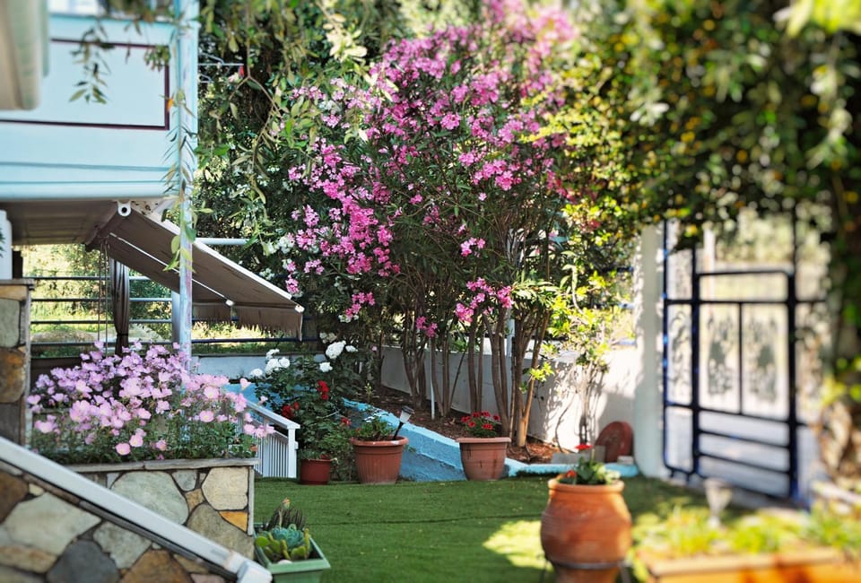 Facade/entrance, Day, Summer, Garden, Garden, View (from property/room), View (from property/room), Decorative detail, Decorative detail, On site, Garden view, Garden view