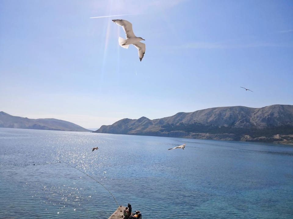 Sea view