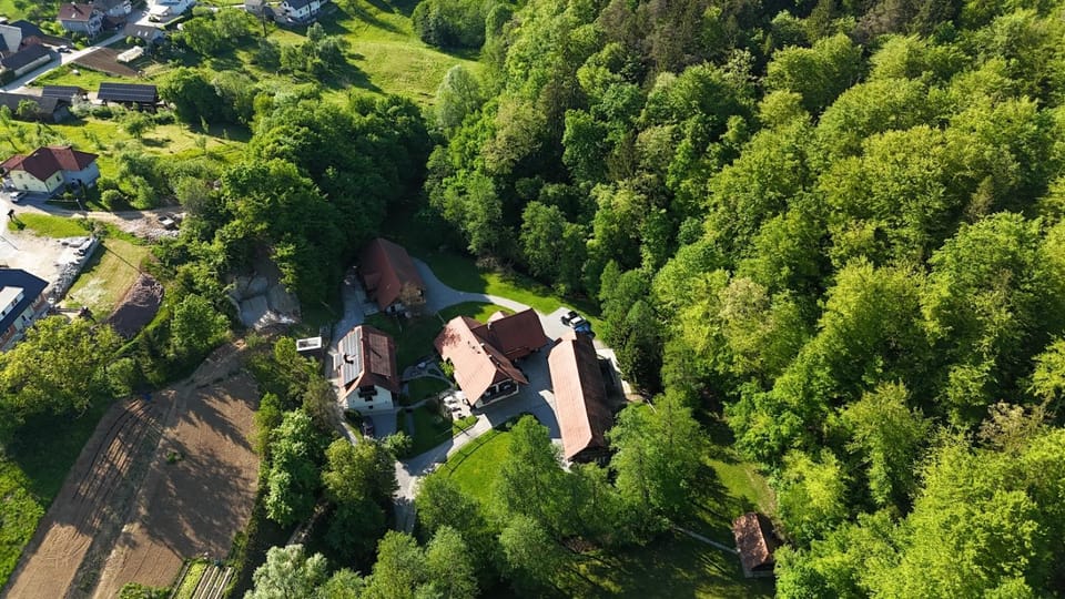 Domačija Šeruga Countryside hotel Bed and Breakfast in Slovenia