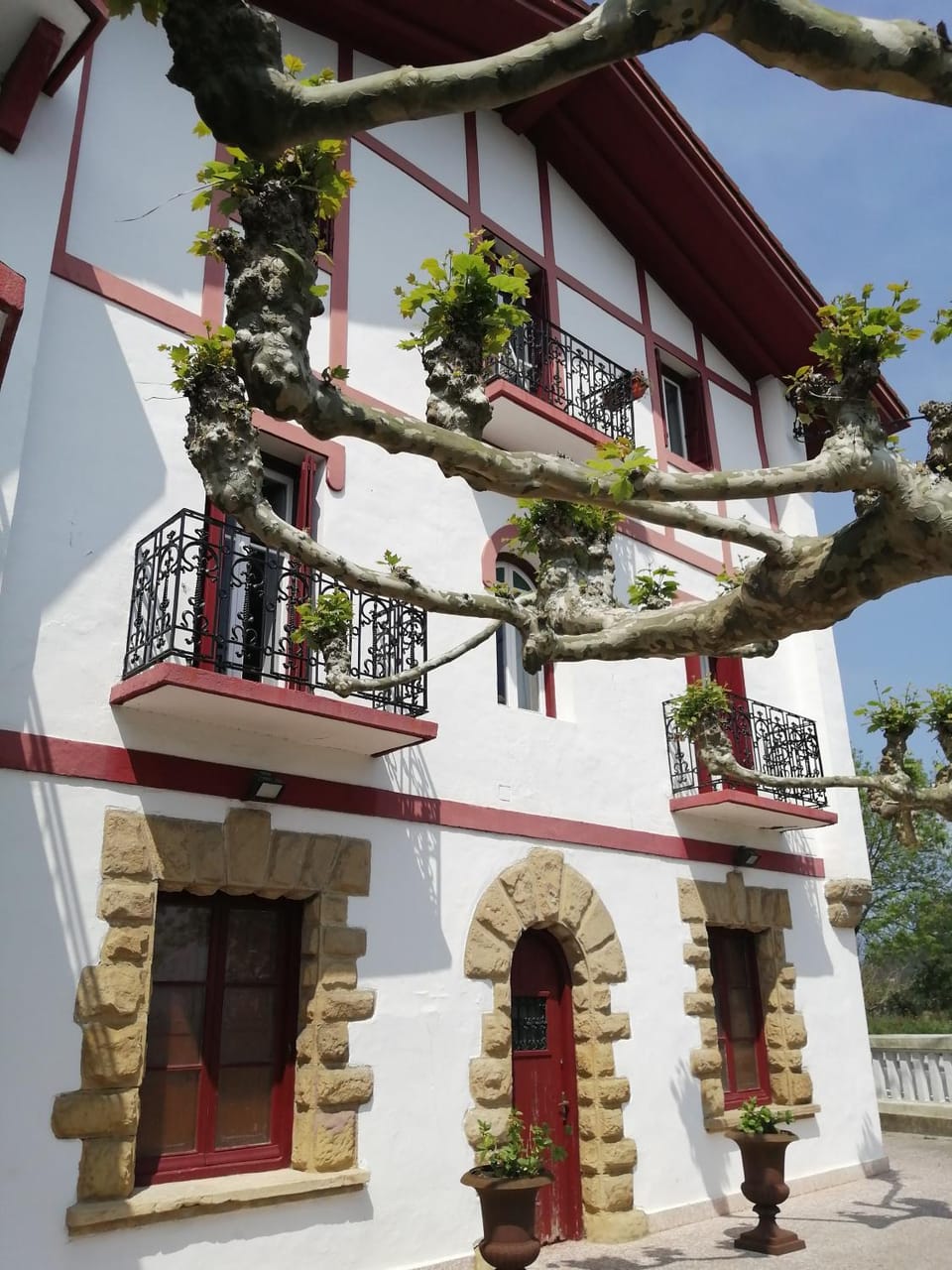 Property building