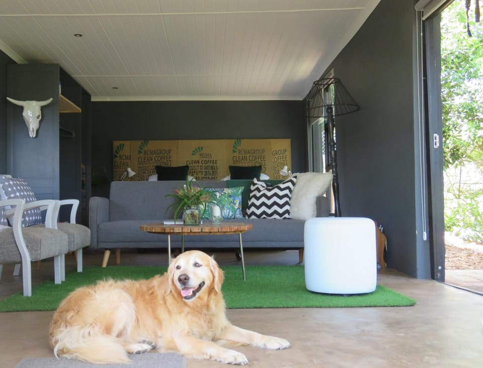 Living room, Pets