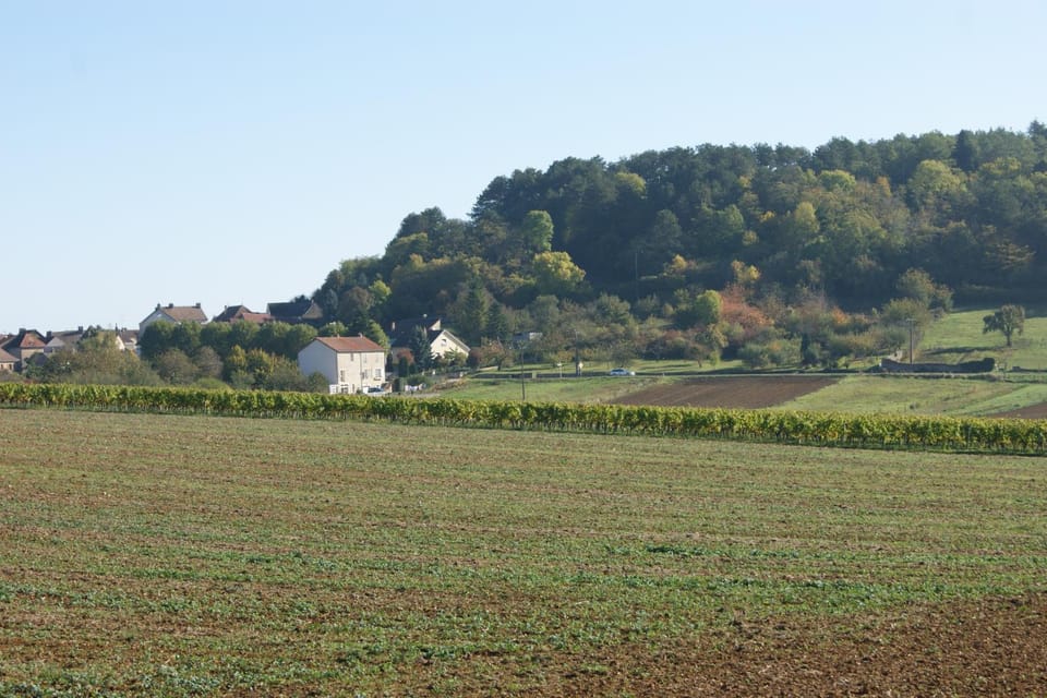 Le Verger des Hautes-Côtes de Nuits Bed and Breakfast in Bourgogne-Franche-Comté