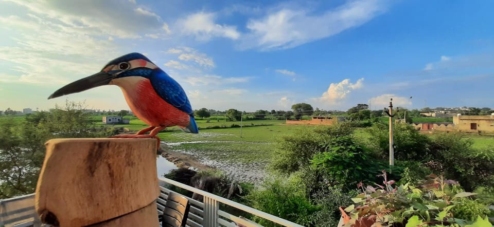 IbisHouse Farm Stay Bed and Breakfast in Uttar Pradesh