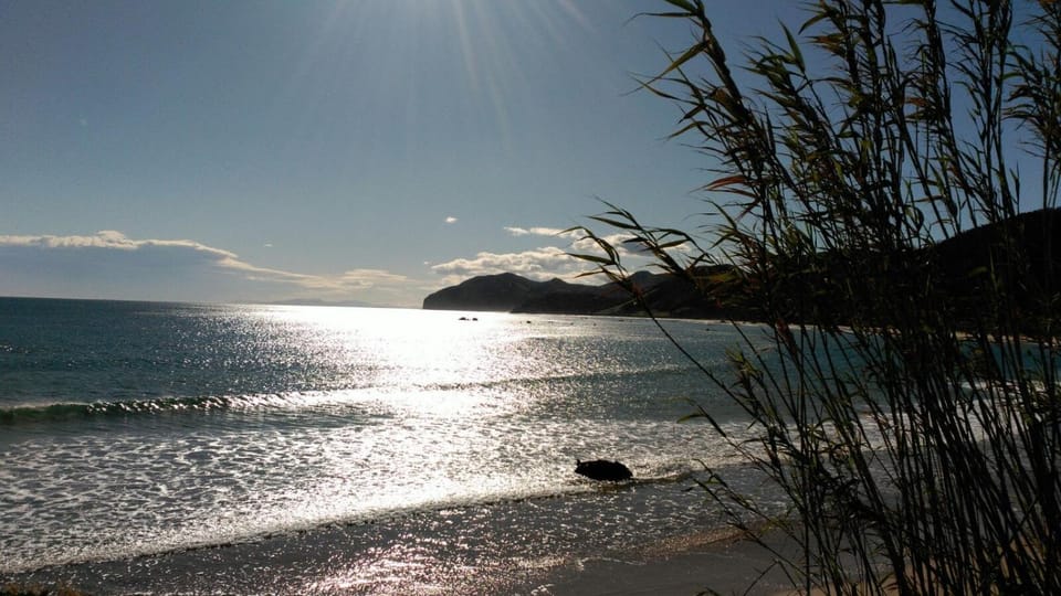 Natural landscape, Beach, Hiking, Sea view, Sunrise