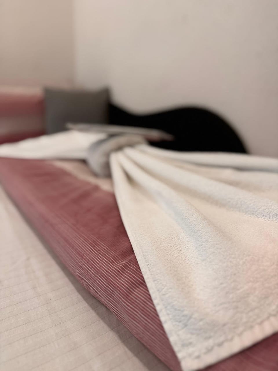 Guest House deluxe Apartment in Federation of Bosnia and Herzegovina