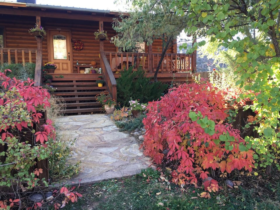 Property building, Garden view