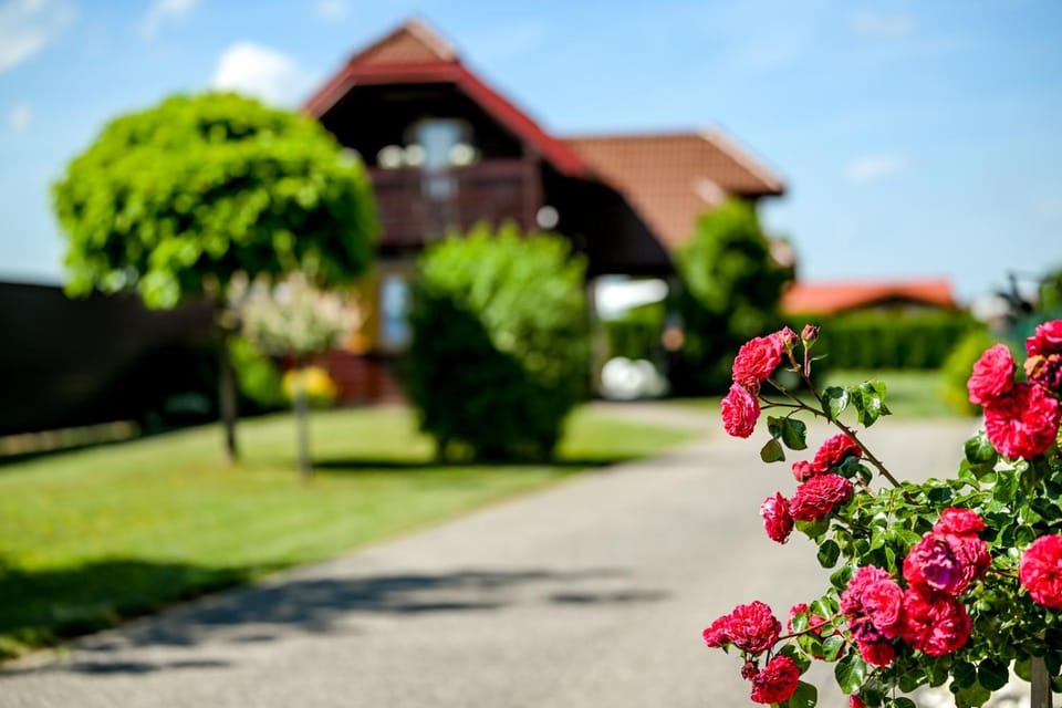 54 Green Road Varaždin House in Croatia