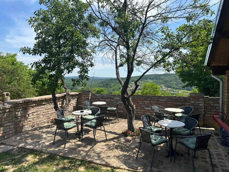 Matanovi Dvori Villa in Slavonski Brod