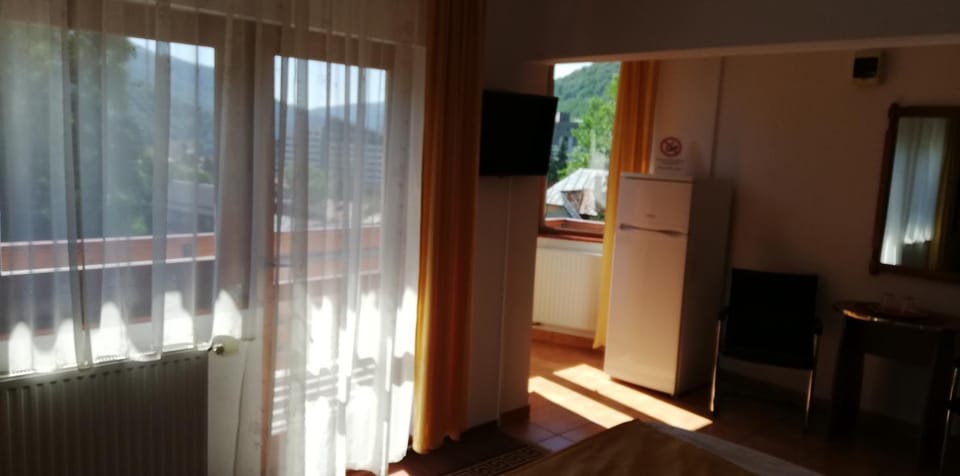 Pension Casa Soarelui Bed and Breakfast in Sinaia