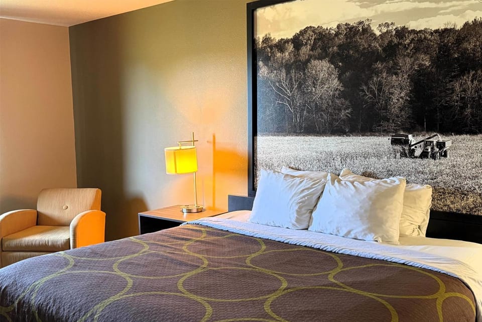 Photo of the whole room