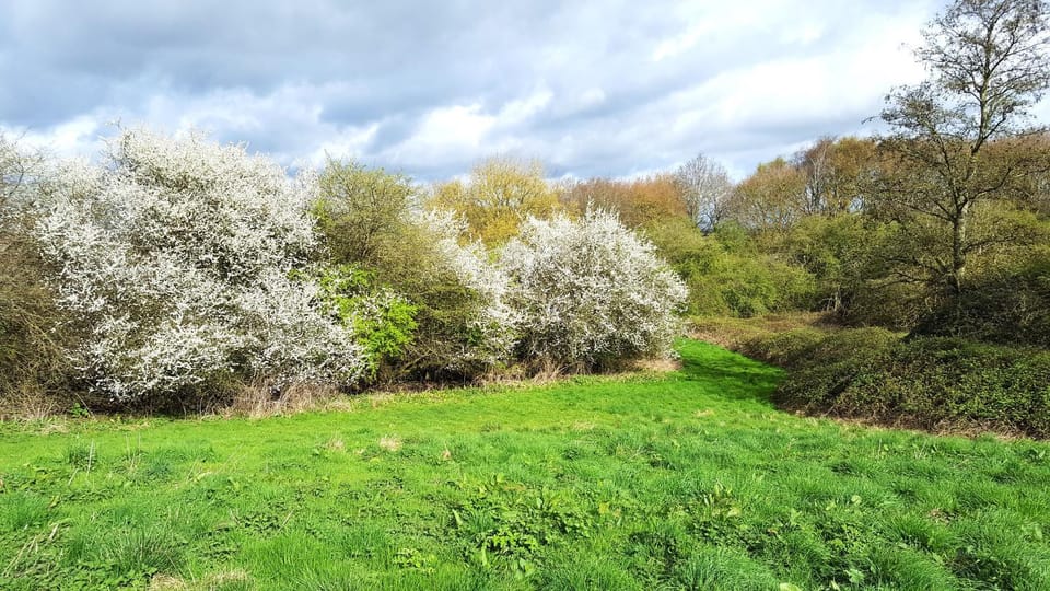 Natural landscape