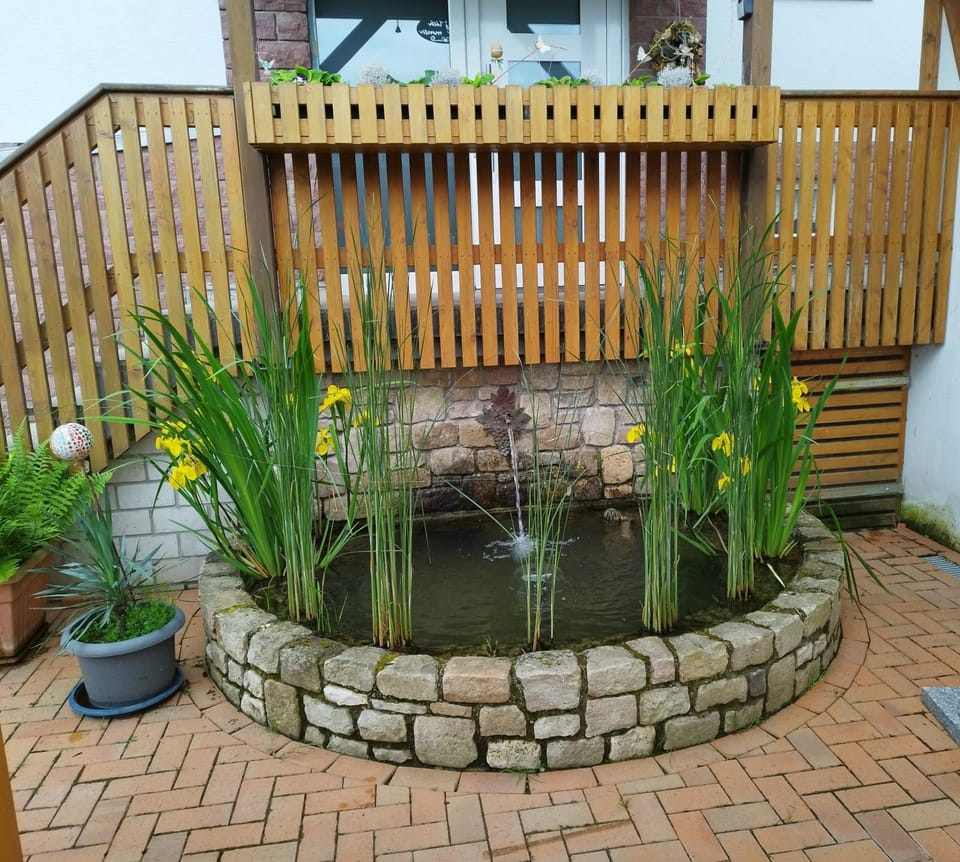 Garden view