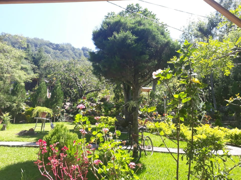 Garden, Garden view
