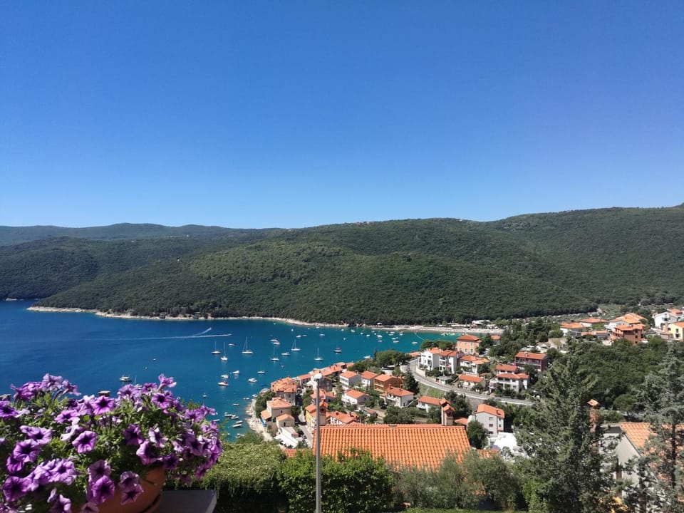 Apartments Alma Apartment in Istria County
