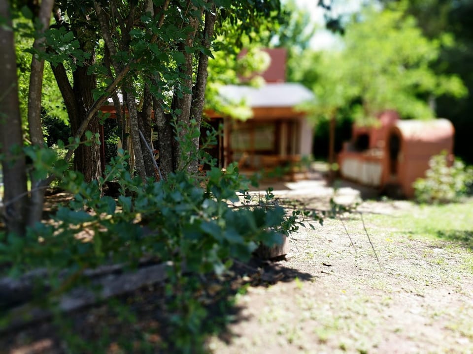 La Salamdra House in Cordoba Province