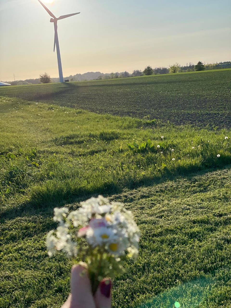 Bremsmaj Farm Holiday Bed and Breakfast in Region of Southern Denmark