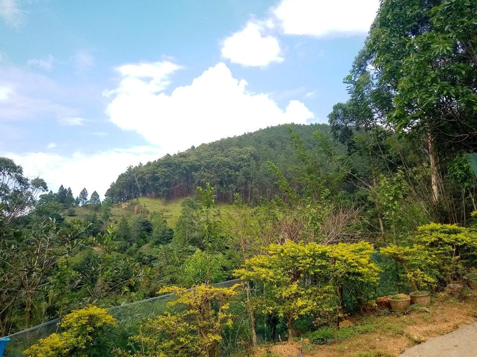 Natural landscape