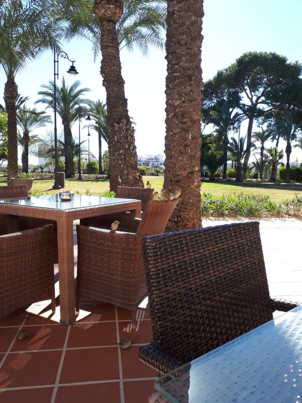 Hacienda Riqueleme Golf Resort Apartment in Vega Baja del Segura
