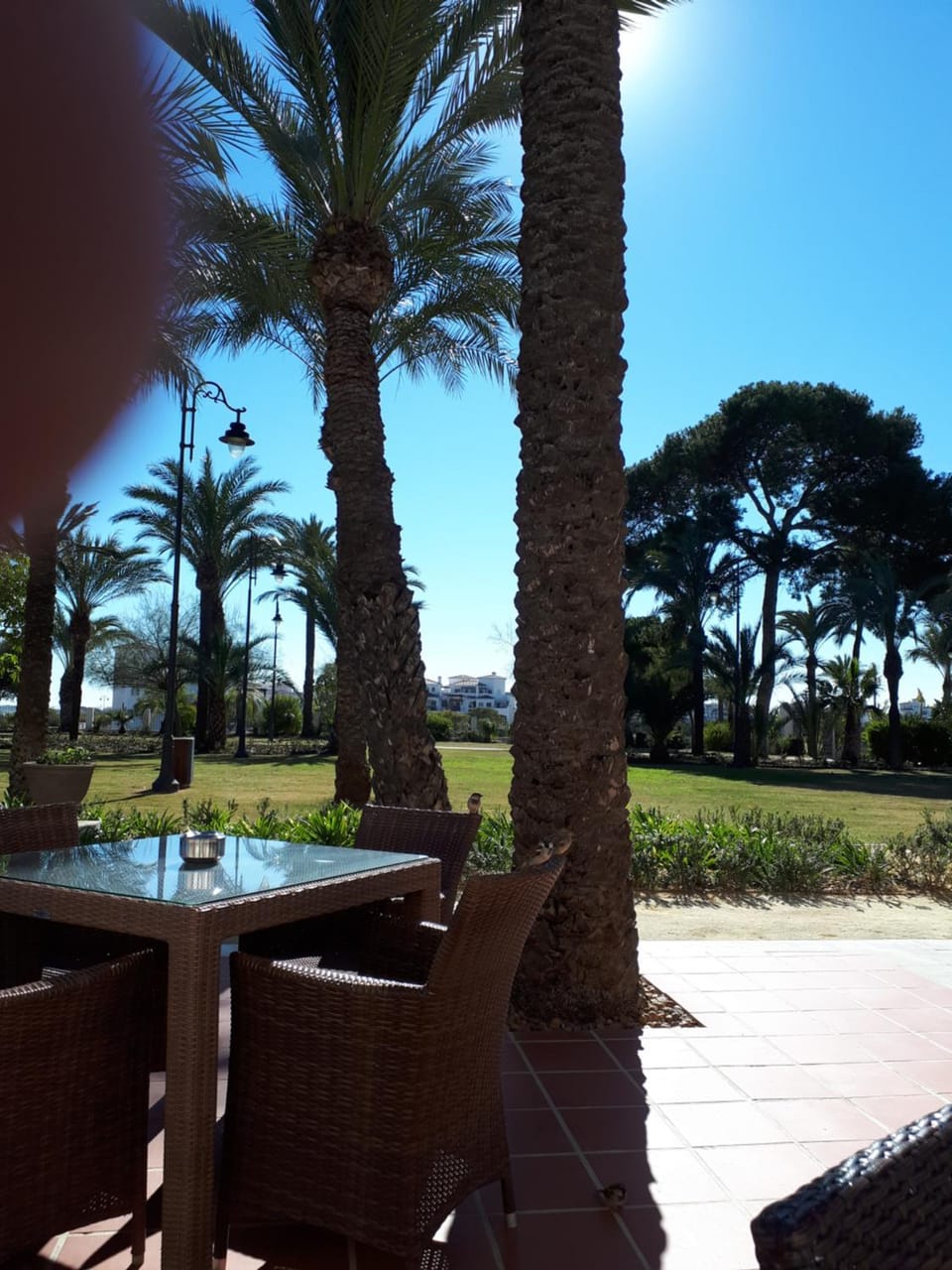Hacienda Riqueleme Golf Resort Apartment in Vega Baja del Segura