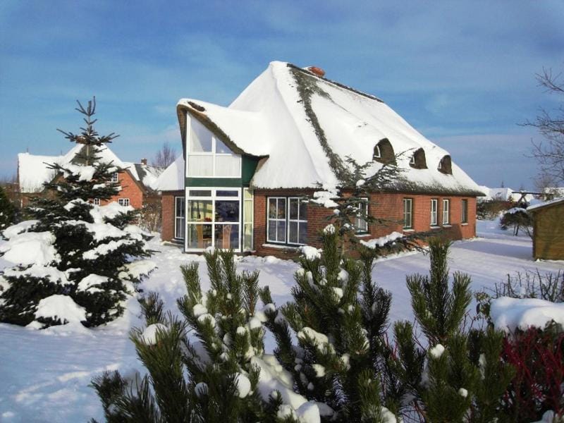 Winter, Garden, Garden view