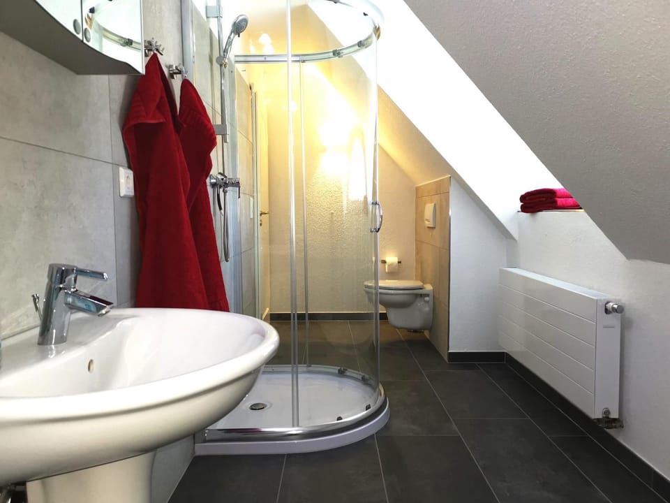 Shower, Toilet, Bathroom, Photo of the whole room