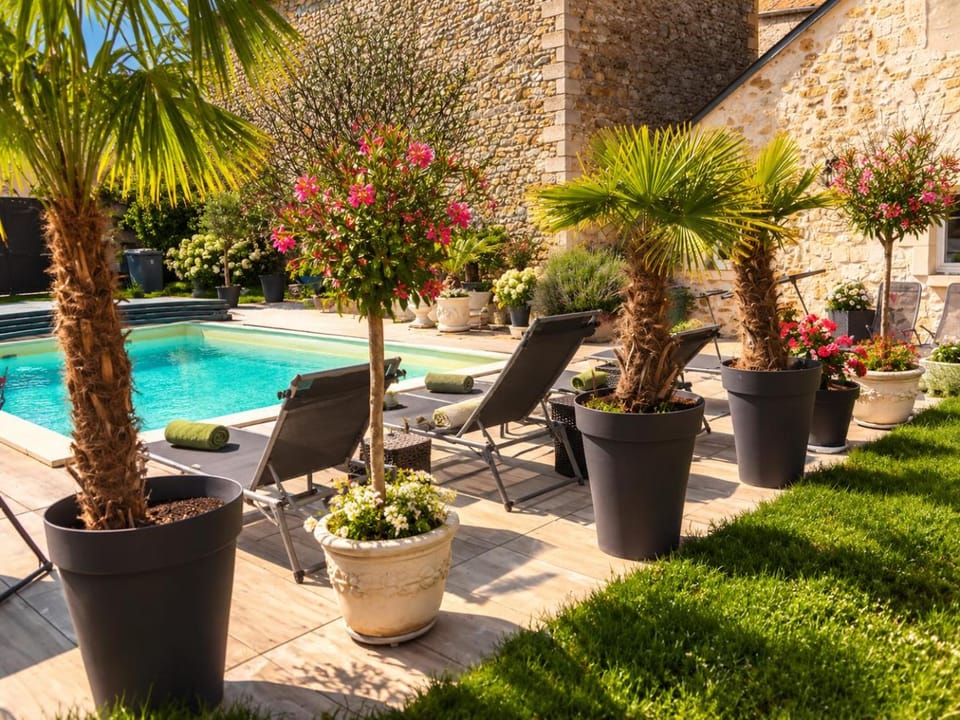 Garden, Pool view, Swimming pool