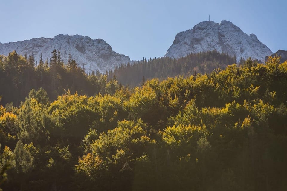 Mountain view