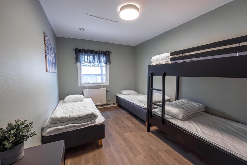 Bed, Photo of the whole room, bunk bed