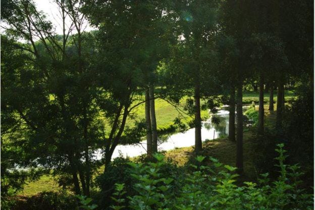 River view