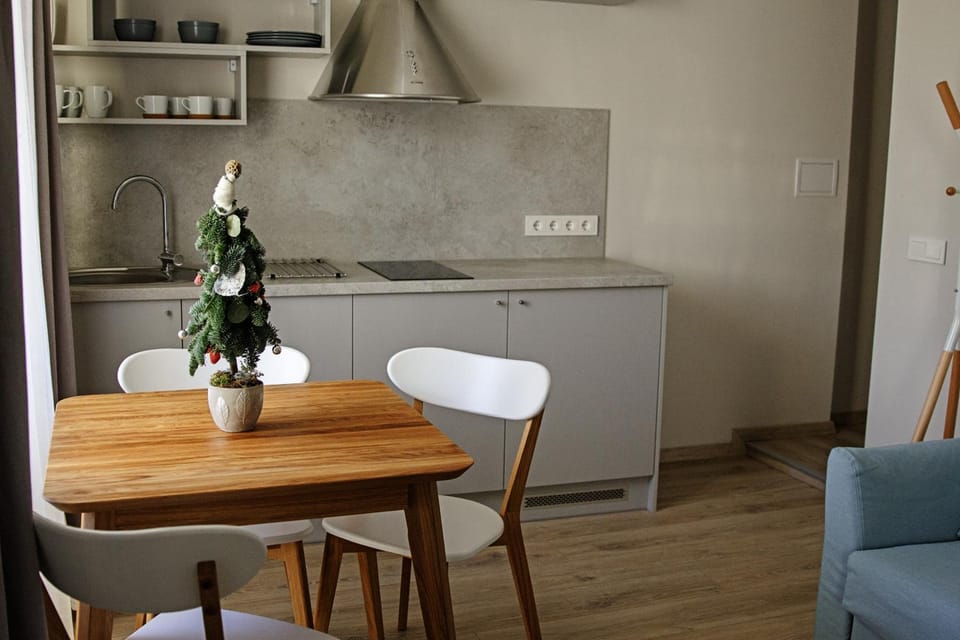 Centro apartamentai Apartment in Lithuania