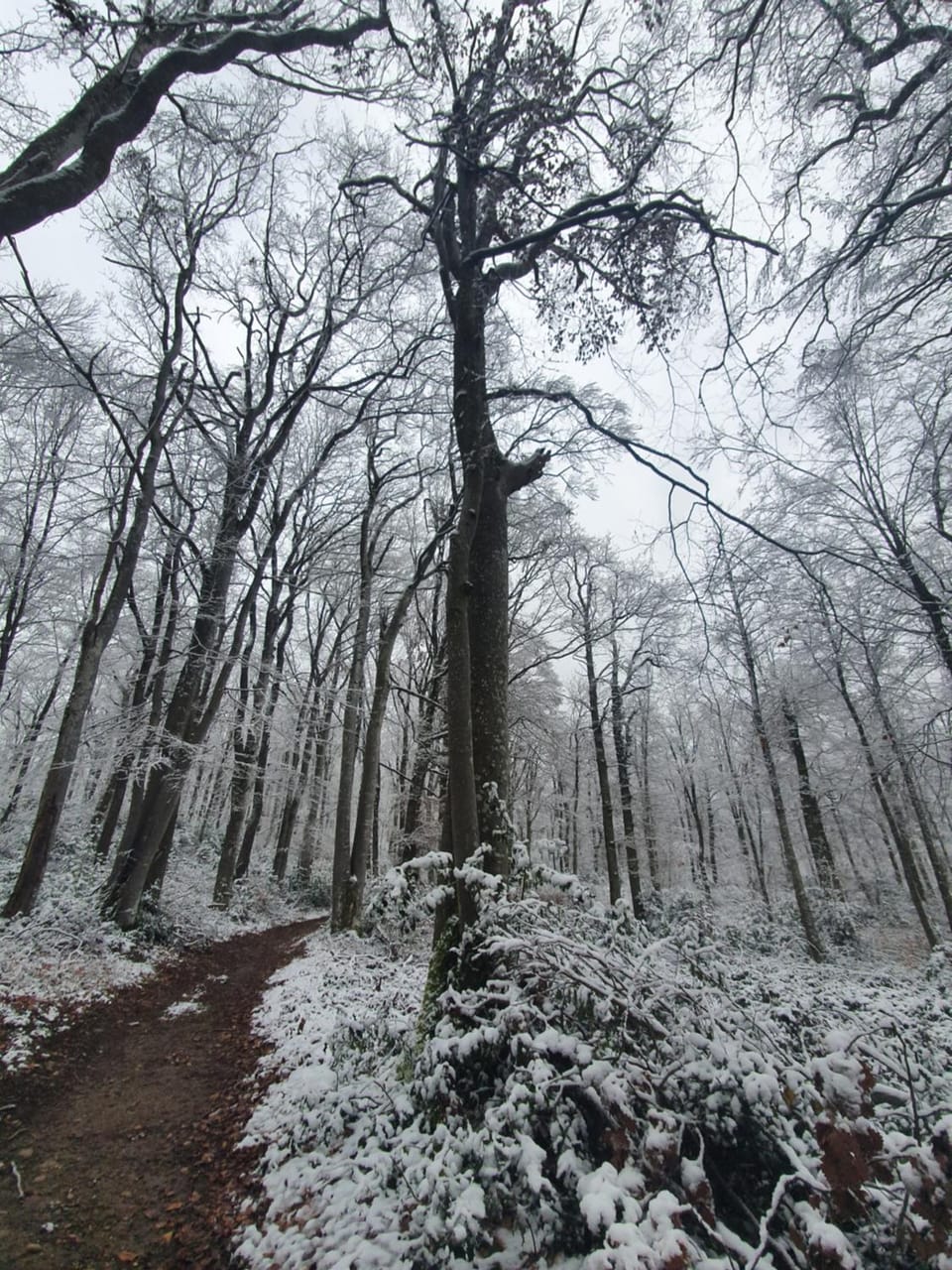 Natural landscape