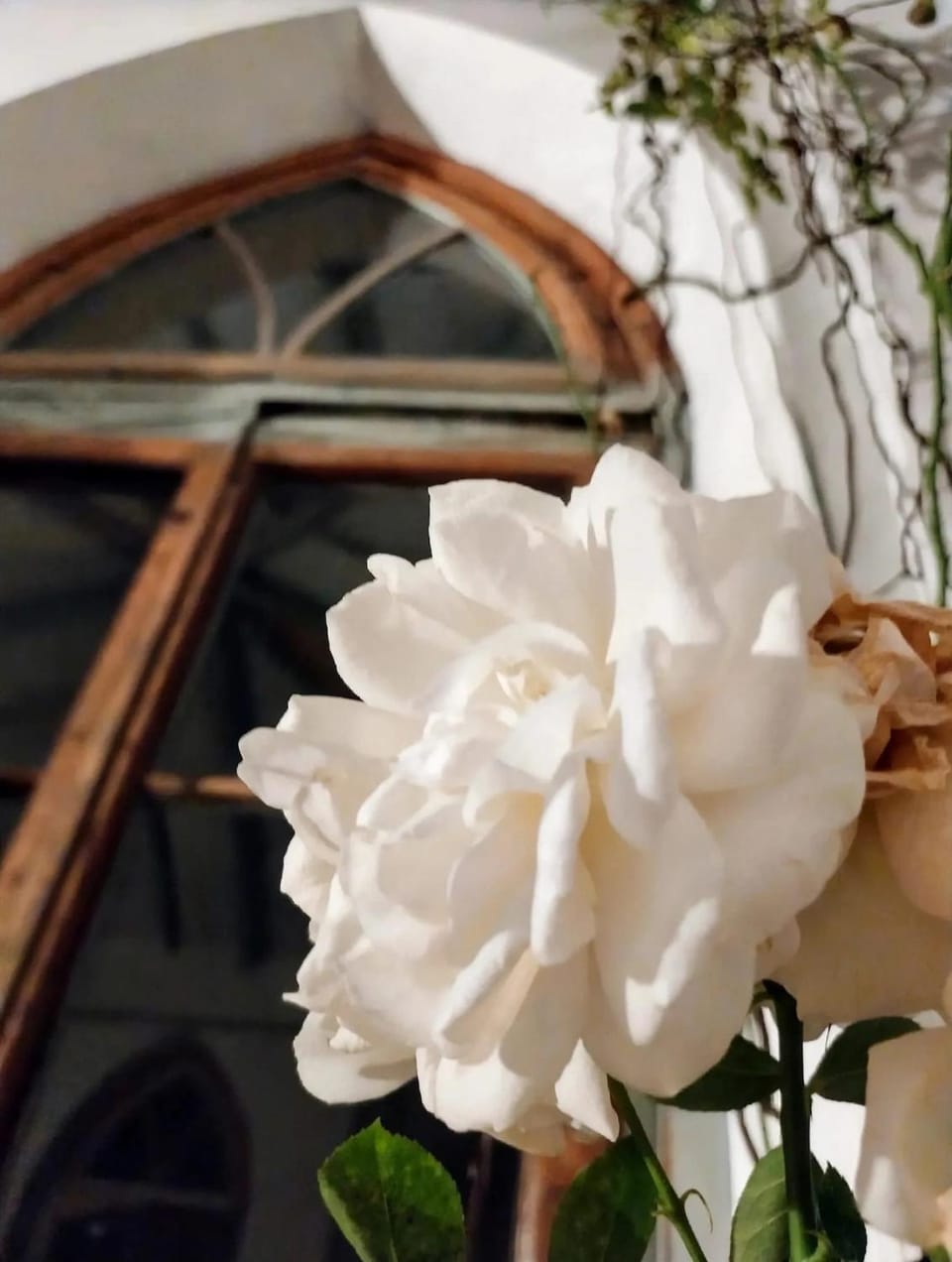Decorative detail, Breakfast