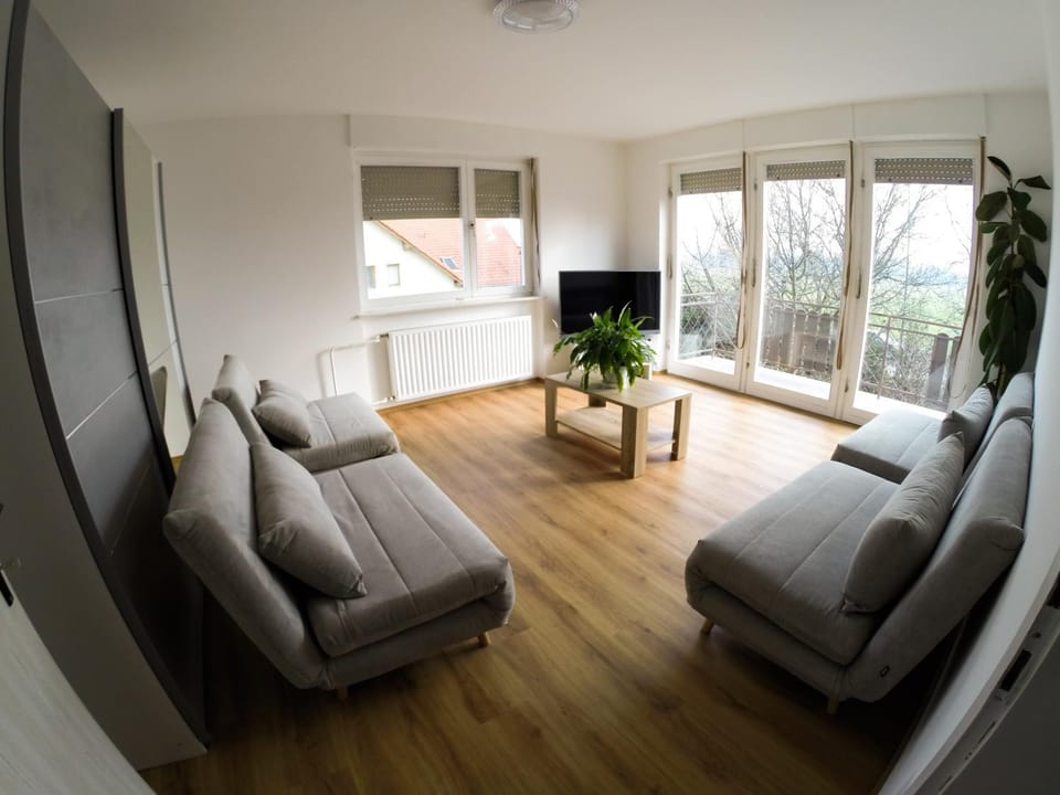 TV and multimedia, Living room, Seating area, Pets, internet
