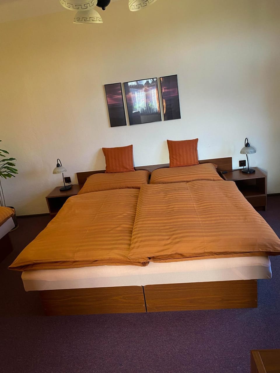 Penzion Z&Z Bed and Breakfast in South Bohemian Region