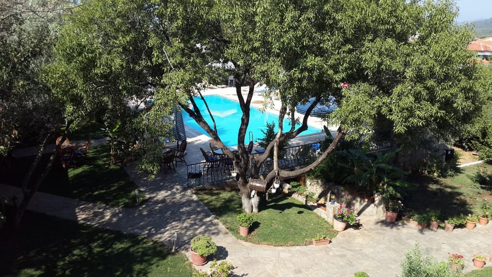 Day, Pool view