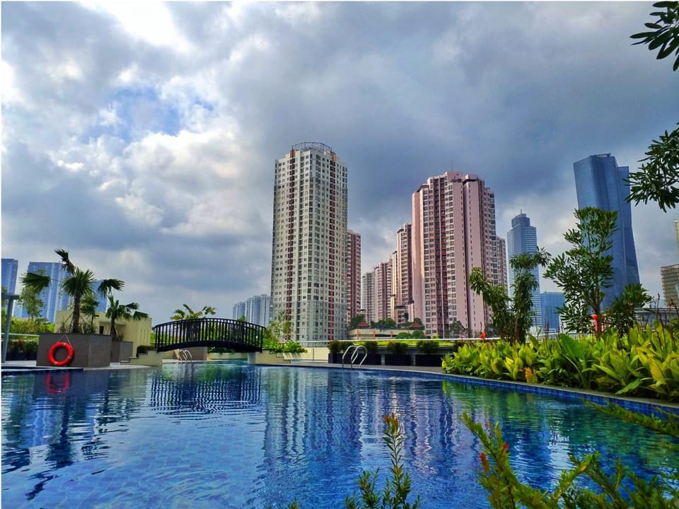 Day, Pool view, Swimming pool, Swimming pool