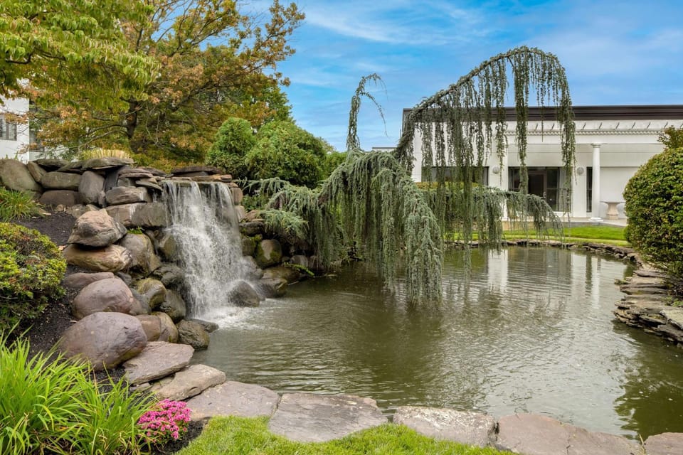 Day, Natural landscape, Garden, Garden view, Inner courtyard view